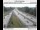 Webcam in Fairview, Oregon, 75.3 km entfernt