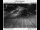 Webcam in Fairview, Oregon, 14.8 km