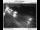 Webcam in Fairview, Oregon, 61.3 km