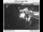 Webcam in Cedar Hills, Oregon, 42.9 mi away