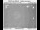Webcam in Valley Junction, Oregon, 35.6 km