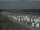 Webcam in Trassenheide, 1.1 mi away