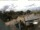Webcam in Trassenheide, 1.7 mi away
