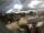 Webcam in Trassenheide, 1.1 mi away