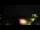 Webcam in Arcachon, 0 km entfernt