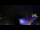 Webcam in Arcachon, 4 mi away