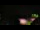Webcam in Arcachon, 5.8 mi away