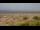 Webcam in Saint-Brevin-les-Pins, 0 km entfernt