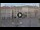 Webcam in Triest, 0.5 km