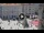Webcam in Trieste, 0.5 km