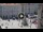 Webcam in Trieste, 0.2 mi away