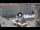 Webcam in Trieste, 0.7 mi away