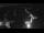 Webcam in Usedom, 0 km