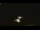 Webcam in Winder, Georgia, 38.4 mi away