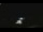Webcam in Winder, Georgia, 90.9 km