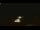 Webcam in Winder, Georgia, 209 km