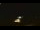 Webcam in Winder, Georgia, 118.1 mi away