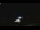 Webcam in Winder, Georgia, 327.5 km entfernt