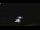 Webcam in Winder, Georgia, 284.2 km