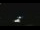 Webcam in Winder, Georgia, 85 mi away