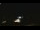 Webcam in Winder, Georgia, 30.1 mi away