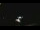Webcam in Winder, Georgia, 263.8 km