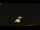 Webcam in Winder, Georgia, 113.2 km