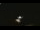 Webcam in Winder, Georgia, 38.4 mi away