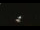 Webcam in Winder, Géorgie, 270.7 km