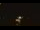 Webcam in Winder, Georgia, 27.5 mi away