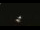 Webcam in Winder, Georgia, 270.7 km