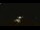Webcam in Winder, Georgia, 38.4 mi away