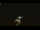 Webcam in Winder, Géorgie, 193.4 km