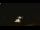 Webcam in Winder, Georgia, 20.1 mi away