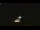 Webcam in Winder, Georgia, 111.8 mi away