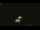 Webcam in Winder, Georgia, 30.3 mi away