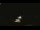 Webcam in Winder, Georgia, 125 mi away