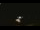 Webcam in Winder, Georgia, 22 km entfernt