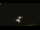 Webcam in Winder, Georgia, 148.3 km