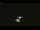Webcam in Winder, Georgia, 74.7 km entfernt
