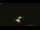 Webcam in Winder, Georgia, 88.9 km entfernt
