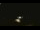 Webcam in Winder, Géorgie, 72 km
