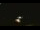 Webcam in Winder, Georgia, 67.6 km