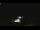 Webcam in Winder, Georgia, 82.4 km