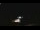 Webcam in Winder, Géorgie, 82.4 km