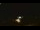 Webcam in Winder, Georgia, 117.9 km entfernt