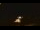 Webcam in Winder, Georgia, 22 km entfernt