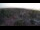 Webcam in Usedom, 0 km