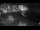 Webcam in Kaanapali, Hawaii, 27.4 km entfernt