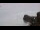 Webcam in Kaanapali, Hawaii, 128.5 km